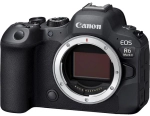 Canon EOS R6 Mark II + RF 24-105 mm f/4L IS USM