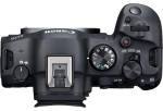 Canon EOS R6 Mark II + RF 24-105 mm f/4-7.1 IS STM