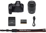Canon EOS R6 Mark II + RF 24-105 mm f/4-7.1 IS STM