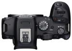 Canon EOS R7 body + adapter EF-EOS R