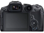 Canon EOS R7 + RF-S 18-150 mm f/3.5-6.3 IS STM + adapter EF-EOS R