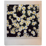 FujiFilm Papier Instax Square Sunset 10 sztuk