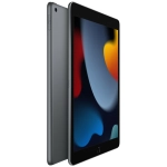 Apple iPad 10,2" 9gen 256 GB Wi-Fi Space Gray