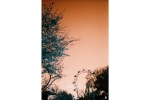 Aparat analogowy Lomography Simple