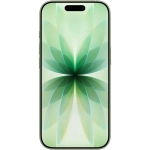 Wyświetlacz Apple iPhone 17 512GB Szałwia - Sage