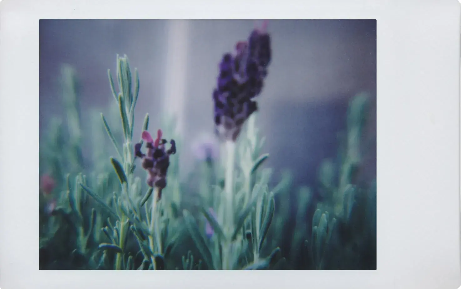 Lomo Instant Automat-Lenses South Beach-1