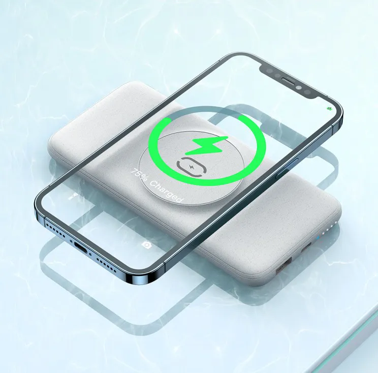 Powerbank 10 000 mAh