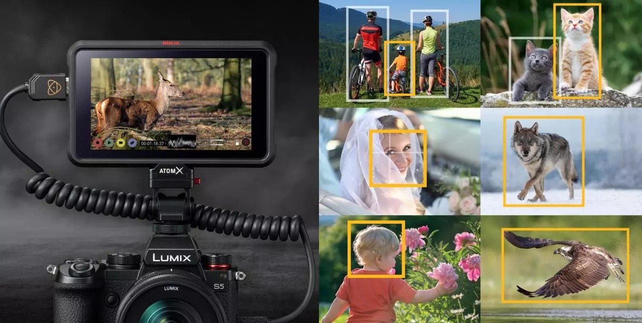 aparat-panasonic-lumix-s5-20-60mm-f-3-5-5-6-85mm-f-1-8-dc-s5ks85kit