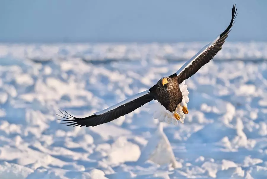 obiektyw-fujifilm-fujinon-xf-150-600-mm-f-5-6-8-r-lm-ois-wr