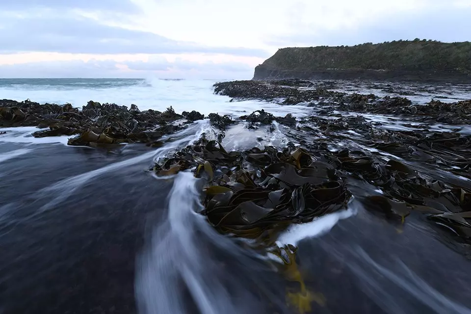 obiektyw-nikon-nikkor-14-24-mm-f-2-8g-ed