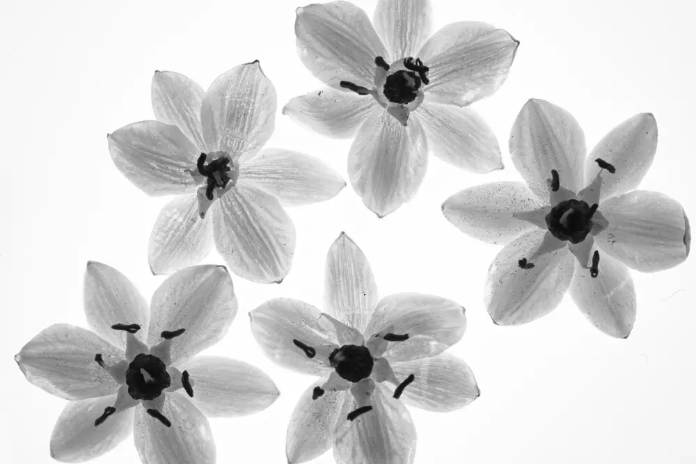 obiektyw-sigma-105-mm-f-2-8-dg-dn-macro-art-sony-e