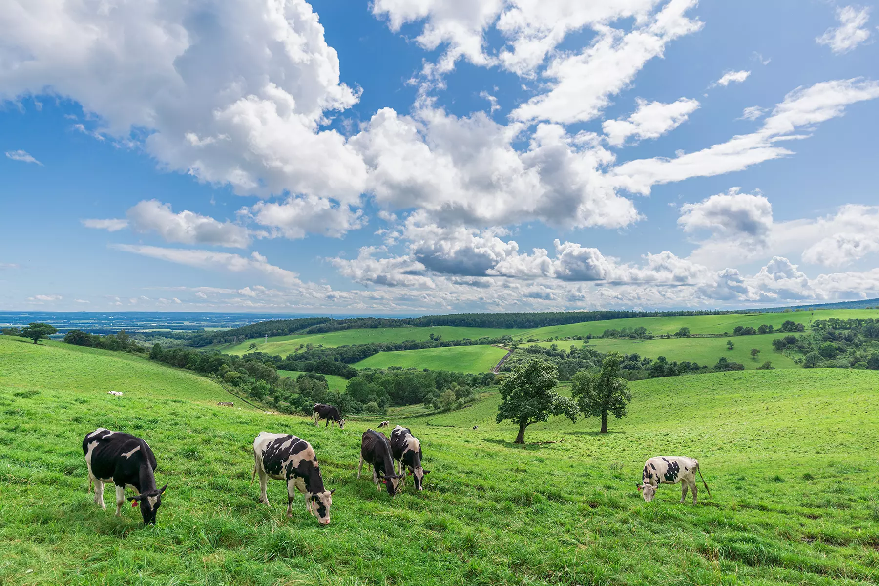 obiektyw-tamron-20-mm-f-2-8-di-iii-osd-m1-2-f050-sony-e