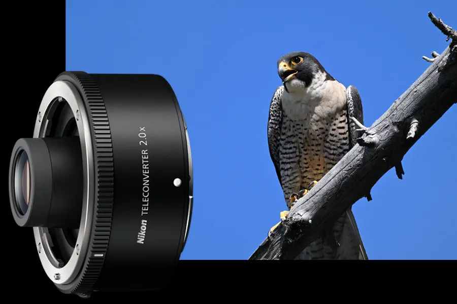 Nikon Nikkor Z 600 mm f/6.3 VR S