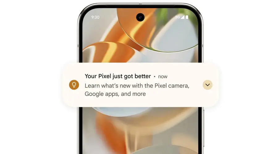 Google Pixel 9 Pro 5G 16/128 GB Hazel